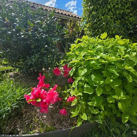 La De Joy Holiday home Sanguinet